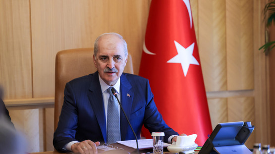 TBMM BAŞKANI KURTULMUŞ, GÜRCİSTAN CUMHURBAŞKANI KAVELAŞVİLİ İLE GÖRÜŞTÜ - Resim: 10