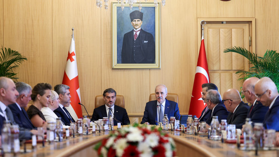 TBMM BAŞKANI KURTULMUŞ, GÜRCİSTAN CUMHURBAŞKANI KAVELAŞVİLİ İLE GÖRÜŞTÜ - Resim: 9