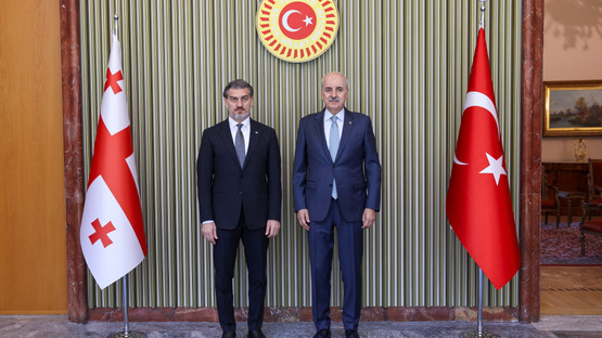 G&uuml;rcistan Cumhurbaşkanı Mikheil Kavelashvili Karşılama