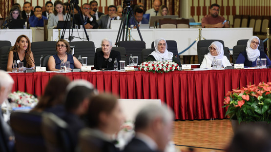 MİLLİ DAYANIŞMA, KARDEŞLİK VE DEMOKRASİ KOMİSYONU 5. TOPLANTISINI GERÇEKLEŞTİRDİ - Resim: 5