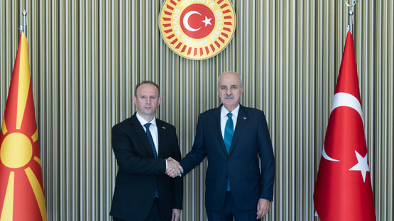 Kuzey Makedonya Meclis Başkanı Afrim Gaşi'yi Karşılama