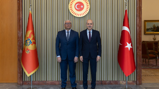 Karadağ Meclis Başkanı Andrija Mandic'i Karşılama