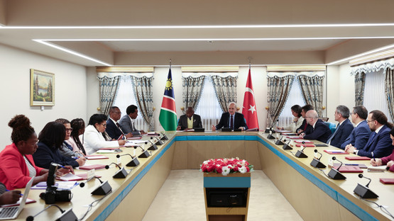 Namibya Ulusal Meclis Başkanı Peter Katjavivi ile Heyetlerarası G&ouml;r&uuml;şme