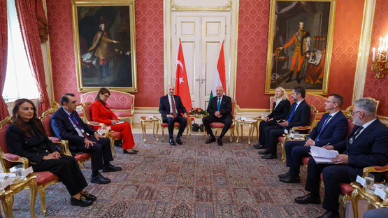 TBMM Başkanı Kurtulmuş, Macaristan Cumhurbaşkanı Sulyok Tarafından Kabul Edildi - Resim: 11