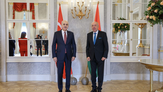 TBMM Başkanı Kurtulmuş, Macaristan Cumhurbaşkanı Sulyok Tarafından Kabul Edildi - Resim: 6