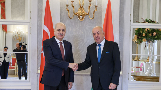 TBMM Başkanı Kurtulmuş, Macaristan Cumhurbaşkanı Sulyok Tarafından Kabul Edildi - Resim: 9