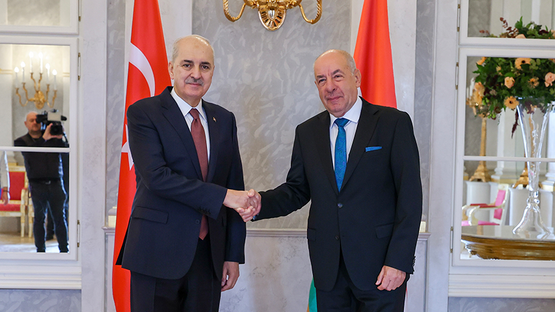 TBMM Başkanı Kurtulmuş, Macaristan Cumhurbaşkanı Sulyok Tarafından Kabul Edildi - Resim: 1