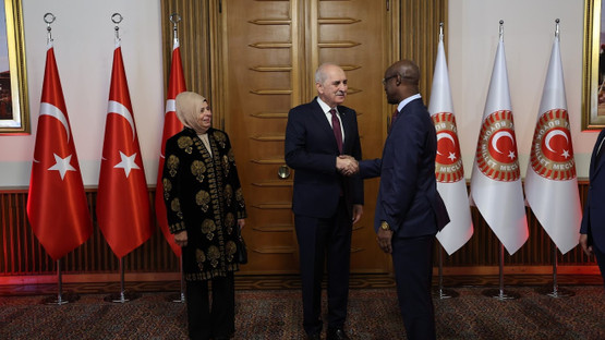 TBMM Başkanı Kurtulmuş, Yeni Yasama Yılı Dolayısıyla Resepsiyon Verdi - Resim: 16