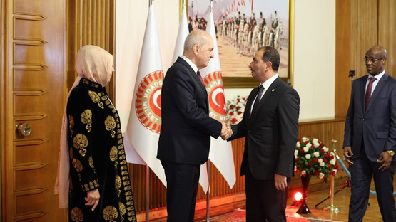 TBMM Başkanı Kurtulmuş, Yeni Yasama Yılı Dolayısıyla Resepsiyon Verdi - Resim: 14