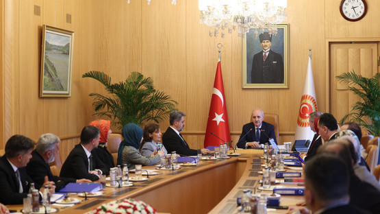 TBMM Başkanı Kurtulmuş, Büyük Aile Platformu Üyelerini Kabul Etti - Resim: 2