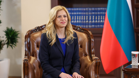 TBMM Başkanı Kurtulmuş, Bulgaristan Ulusal Meclisi Başkanı Dotsova ile Görüştü - Resim: 9