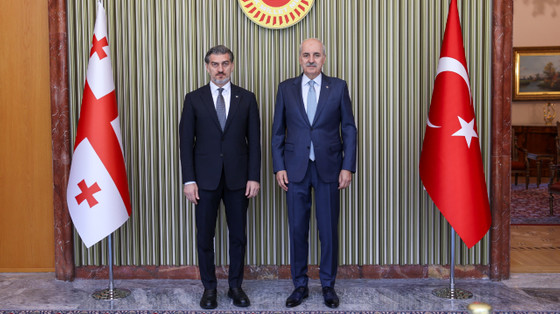 Gürcistan Cumhurbaşkanı Ziyareti
