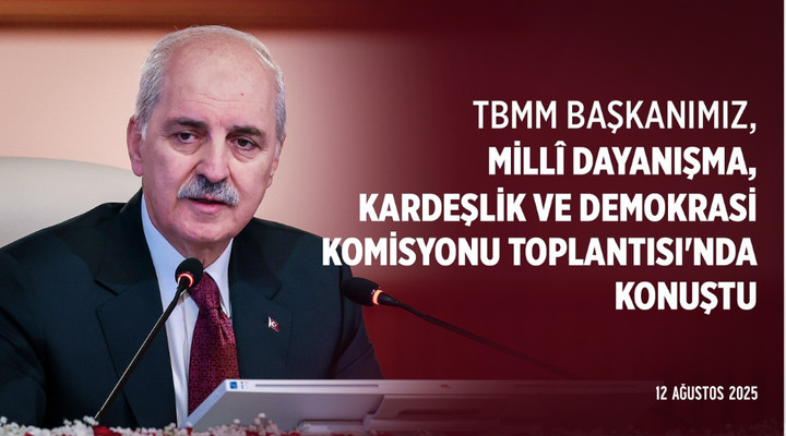 Millî Dayanışma, Kardeşlik ve Demokrasi Komisyonu Toplantısı