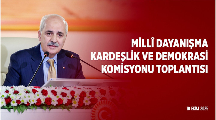 Millî Dayanışma, Kardeşlik ve Demokrasi Komisyonu 17. Toplantısı Açılışı - 18.11.2025